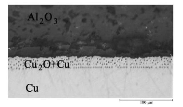 Al2O3陶瓷和铜连接后界面微观组织示意图.png